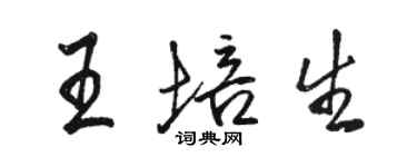 駱恆光王培生行書個性簽名怎么寫