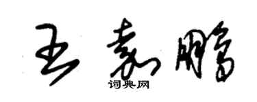 朱錫榮王嘉鵬草書個性簽名怎么寫