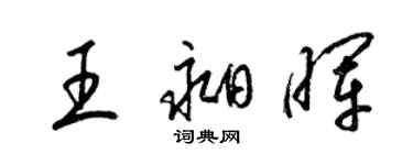 梁錦英王昶暉草書個性簽名怎么寫