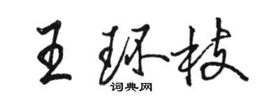 駱恆光王環枝行書個性簽名怎么寫