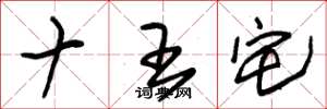 朱錫榮十王宅草書怎么寫