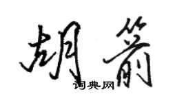 駱恆光胡箭行書個性簽名怎么寫