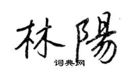 王正良林陽行書個性簽名怎么寫