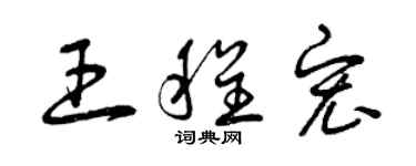 曾慶福王程宏草書個性簽名怎么寫