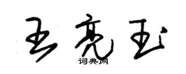 朱錫榮王亮玉草書個性簽名怎么寫