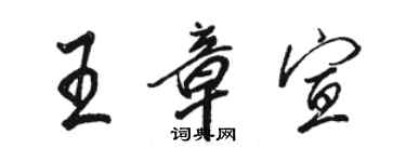 駱恆光王章宣行書個性簽名怎么寫