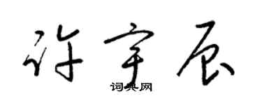 梁錦英許宇辰草書個性簽名怎么寫