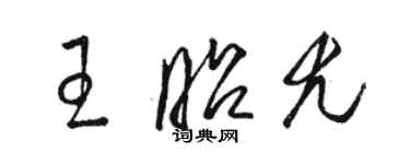 駱恆光王昭尤草書個性簽名怎么寫