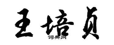 胡問遂王培貞行書個性簽名怎么寫