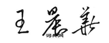 駱恆光王晨華草書個性簽名怎么寫