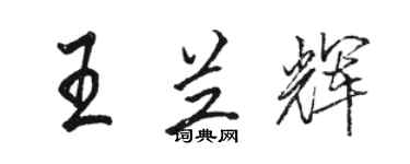 駱恆光王蘭輝行書個性簽名怎么寫