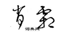 曾慶福肖霜草書個性簽名怎么寫