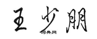 駱恆光王少朋行書個性簽名怎么寫