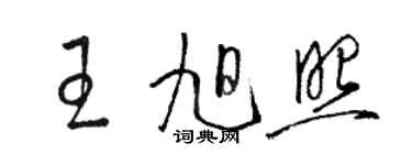 駱恆光王旭照草書個性簽名怎么寫