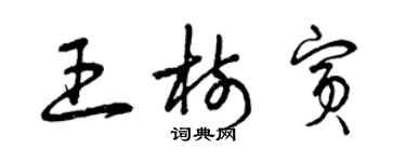 曾慶福王樹賓草書個性簽名怎么寫