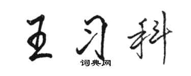 駱恆光王習科行書個性簽名怎么寫