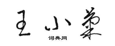 駱恆光王小菊草書個性簽名怎么寫