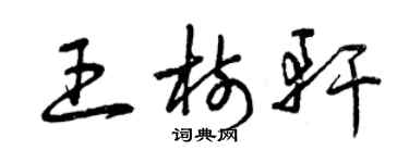 曾慶福王樹軒草書個性簽名怎么寫