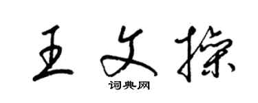 梁錦英王文操草書個性簽名怎么寫