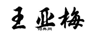 胡問遂王亞梅行書個性簽名怎么寫
