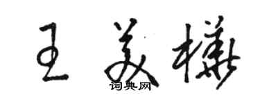 駱恆光王美樺草書個性簽名怎么寫