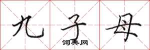 田英章九子母楷書怎么寫