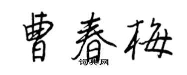 王正良曹春梅行書個性簽名怎么寫