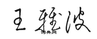 駱恆光王雅波草書個性簽名怎么寫