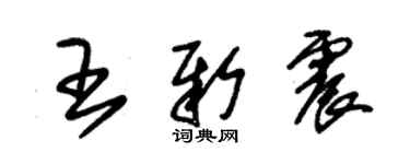 朱錫榮王新震草書個性簽名怎么寫