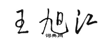 駱恆光王旭江草書個性簽名怎么寫