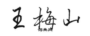 駱恆光王梅山行書個性簽名怎么寫