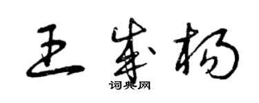 曾慶福王成楊草書個性簽名怎么寫