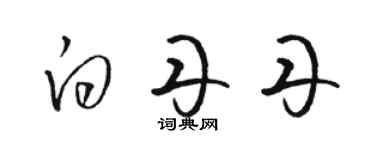 駱恆光白丹丹草書個性簽名怎么寫