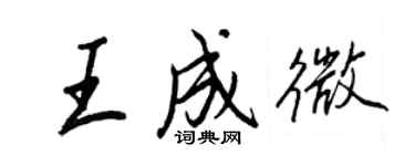 王正良王成微行書個性簽名怎么寫