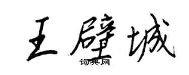 王正良王壁城行書個性簽名怎么寫