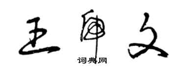 曾慶福王虎文草書個性簽名怎么寫