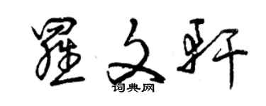 曾慶福羅文軒草書個性簽名怎么寫