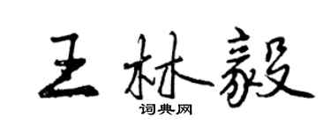 曾慶福王林毅行書個性簽名怎么寫