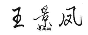 駱恆光王景鳳行書個性簽名怎么寫