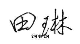 駱恆光田琳行書個性簽名怎么寫