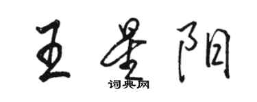 駱恆光王星陽行書個性簽名怎么寫