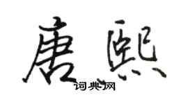 駱恆光唐熙行書個性簽名怎么寫