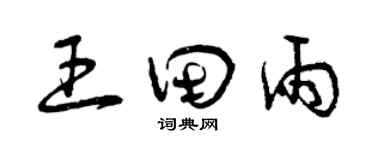 曾慶福王田雨草書個性簽名怎么寫