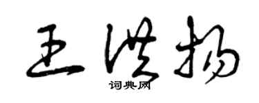 曾慶福王洪揚草書個性簽名怎么寫