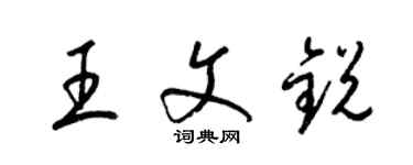 梁錦英王文銳草書個性簽名怎么寫