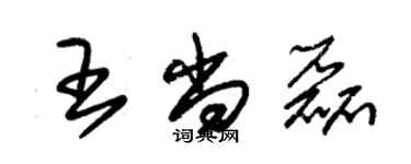 朱錫榮王尚磊草書個性簽名怎么寫