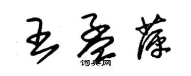 朱錫榮王孟萍草書個性簽名怎么寫