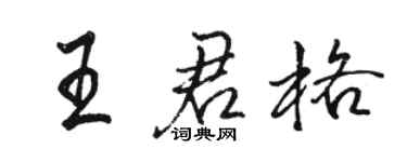 駱恆光王君格行書個性簽名怎么寫