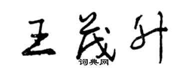 曾慶福王茂升行書個性簽名怎么寫