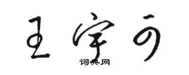 駱恆光王宇可草書個性簽名怎么寫